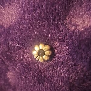 Pandora Spacer Charm